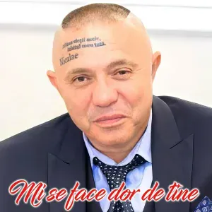 Nicolae Guță - Fac orice