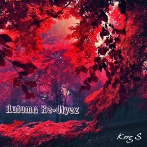 Korg S - Autumn Re-Diyez