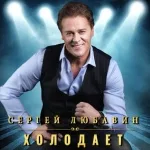 Сергей Любавин - Холодает