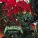 Killswitch Engage - I Can't Be the Only One