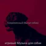 игривый Музыка для собак - Впечатление (Спящие собаки)