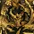Demon Hunter - Descending Upon Us