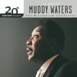 Muddy Waters - Rock Me