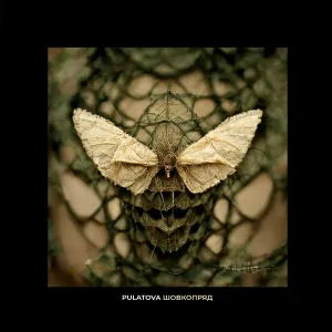 Pulatova - Шовкопряд