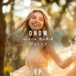 dndm, Davvi - You Broke Me