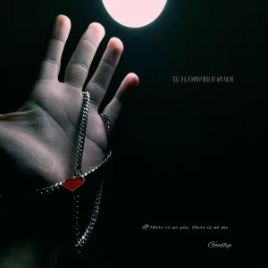 THIEF - FOR YOU