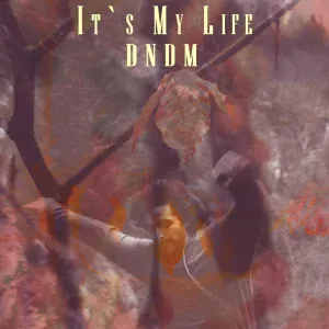 DNDM - It`s My Life
