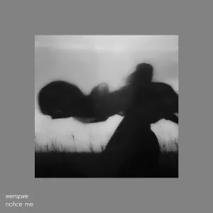 eenspire - notice me