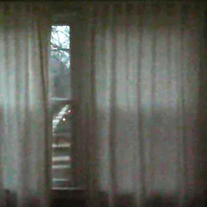 Snow Strippers - Lacerate