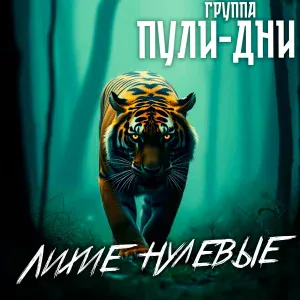 Группа Пули-Дни - Джем
