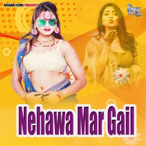 Vijay Sonkar - Nehawa Mar Gail