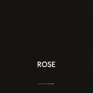 KVPV - Rose