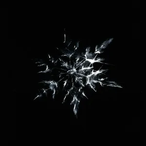 DONOR - холодно