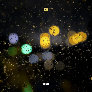 SO - Tema