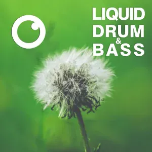 Dreazz - Liquid Drum & Bass Sessions 2021 Vol 41
