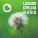 Dreazz - Liquid Drum & Bass Sessions 2021 Vol 41