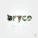 Bryce feat. J-Malik feat. J-Malik - Turn up the Night