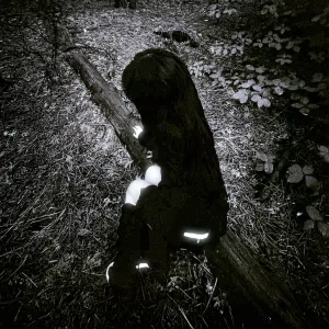 bullish - сamellia