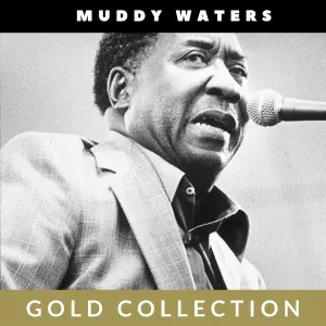 Muddy Waters - Lonesome Day