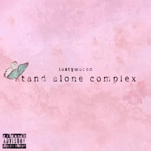 testymoron, SHANDEE - Destroy