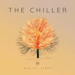 The Chiller - Drugoverl