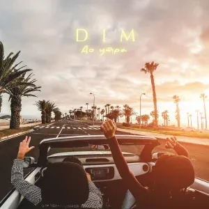 DIM - До утра