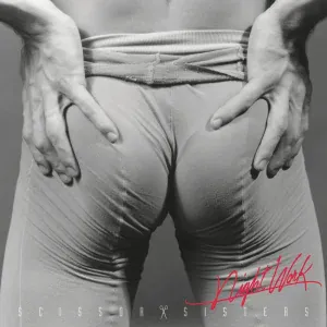 Scissor Sisters - Something Like This