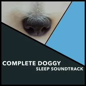Dogs Music Therapy, Dog's Music, Zen Dog - Dog Peace Moments