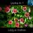 Ludwig van Beethoven - Symphony No. 9 In D Minor, Op. 125 - III Adagio molto e cantabile - Ludwig van Beethoven