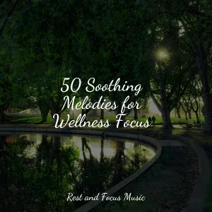 White Noise Sound Garden, Pro Sound Effects Library, Zarobi - A Touch of Gold