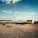 Evgeny Bardyuzha - Wasteland Survivors