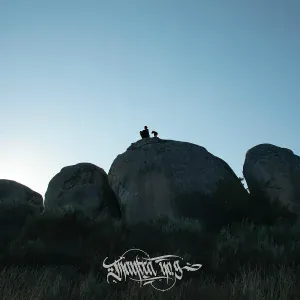 Fliptrix - Rhyme & Reason
