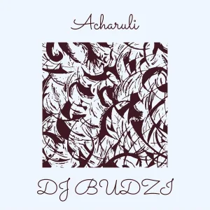 DJ BUDZI - Acharuli