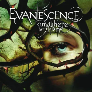 Evanescence - Haunted