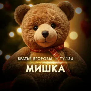 Братья Егоровы, ТУ-134 - Мишка