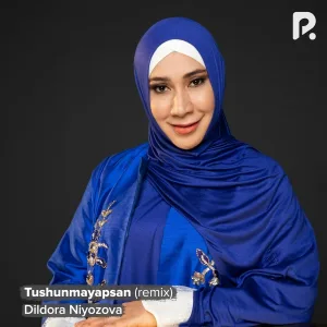 Dildora Niyozova - Tushunmayapsan (remix)