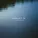Julien Marchal - Insight XXXVII