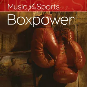 The Gym All-Stars - Alone in the Ring