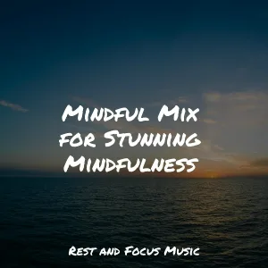 Deep Sleep Systems, Sleep Sounds of Nature, Relaxation Music Guru - Soul Release
