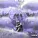 ODECORE, Odetari - KEEP UP - Slowed & Reverbed