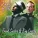 Bing Crosby - I'll Be Home for Christmas