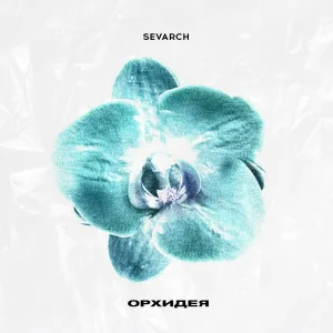 sevarch - Орхидея