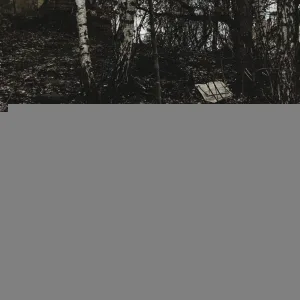 деанойс - север
