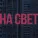 дима бамберг - юность