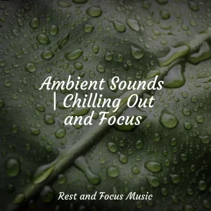 Yoga Soul, Asian Zen Spa Music Meditation, Pink Noise - Relaxation Rhapsody