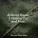 Yoga Soul, Asian Zen Spa Music Meditation, Pink Noise - Relaxation Rhapsody