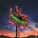LANY - cowboy in LA