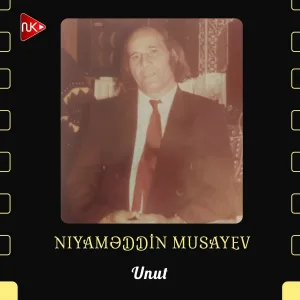 Niyaməddin Musayev - Unut