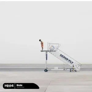 Hamidshax - Maybe