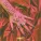 RAYE, Maleek Berry, Nana Rogues - Confidence
